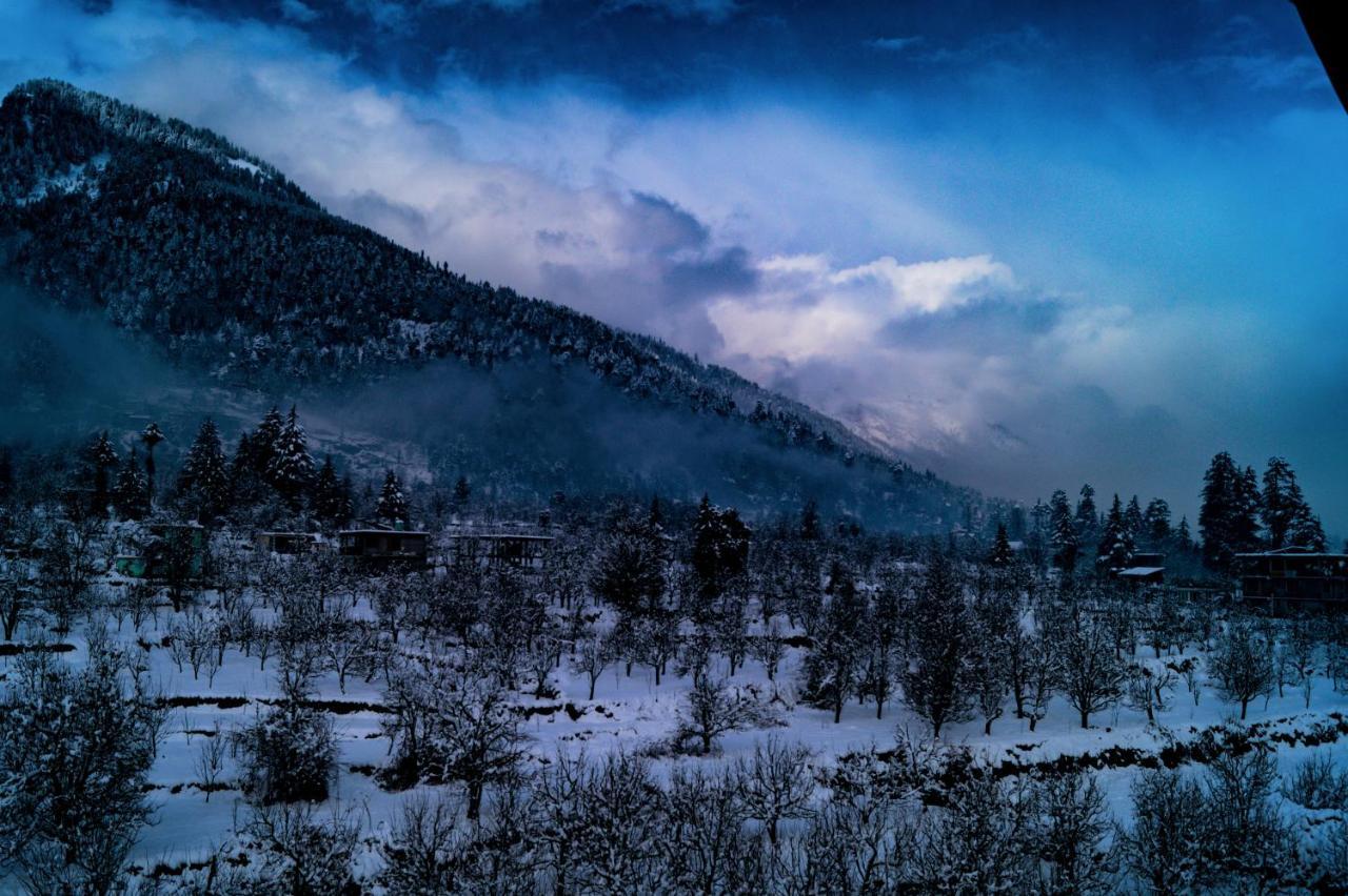 Alt Life - Manali Hostel Exterior photo